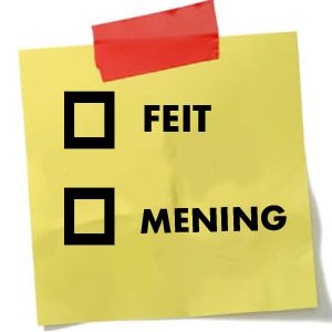 feit en mening