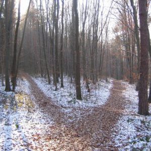 januari