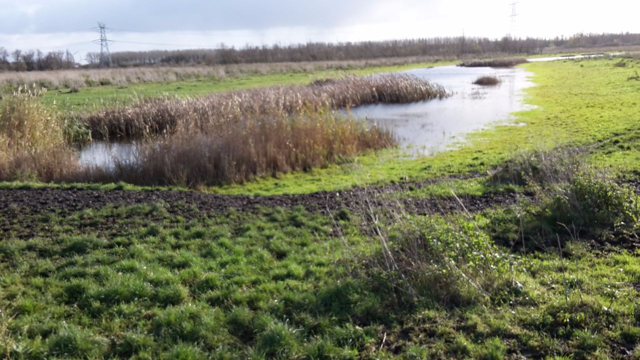 oostvaartse plassen