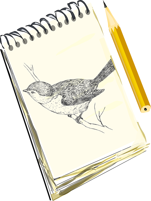 draw a bird