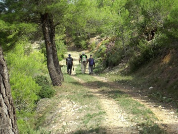 wandelen