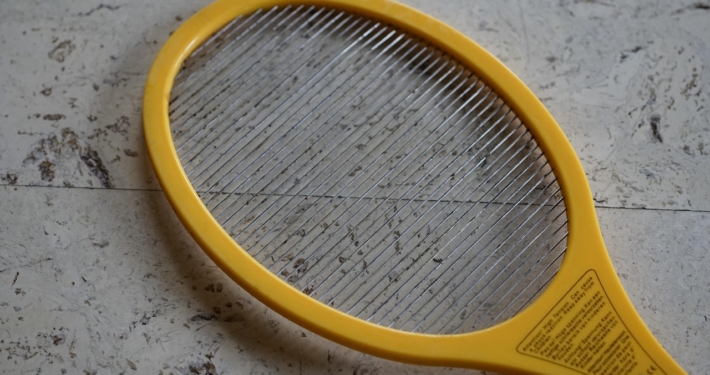 Kleine vliegjes in huis bij het raam. Wat zijn dat voor beestjes