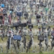 Fietsen als slimme woonkeuze voor elke dag