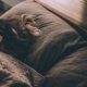 Het perfecte bed kiezen