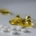 Welke omega 3 past bij sporters