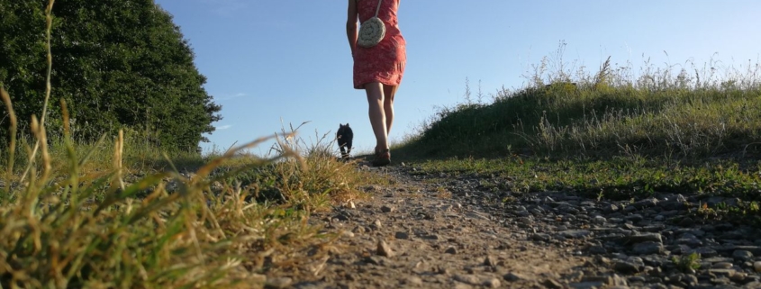 Beginnen met solowandelen Met deze tips wordt je eerste tocht een succes